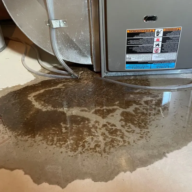 Pipe Burst and Leak Restoration in Whately, MA